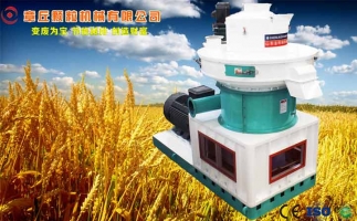 中國創(chuàng)新提速，綠色經濟之離心高效環(huán)模顆粒機