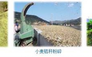 農民科學發(fā)展新思路，秸稈綜合利用成為賺錢好門路之秸稈顆粒機