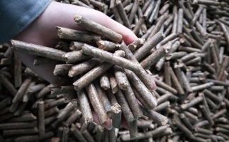 鋸末顆粒機(jī)顆粒，一種快速增長(zhǎng)的能源載體