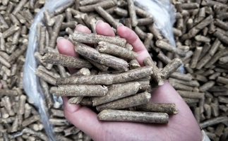鋸末顆粒機(jī)木屑顆粒燃料市場(chǎng)前景如何？