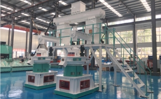 木屑顆粒機(jī)多少錢一臺?建顆粒廠大約多少錢？