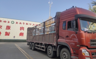 忙碌的五月，忙碌的發(fā)貨，金格瑞顆粒機(jī)生產(chǎn)線發(fā)往全國各地