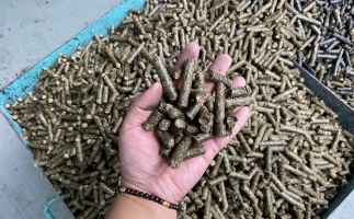 木屑顆粒機(jī)廠家告訴你生物質(zhì)顆粒燃料燃燒不充分的問題，該如何解決?