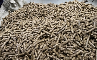 為什么很多人想了解木屑顆粒機(jī)加工的燃料顆粒作用？