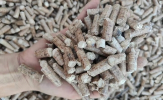 木材加工廠木屑堆積如山，環(huán)保部門令趕緊處理怎么辦？有它就夠了