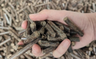木屑燃料顆粒熱值多少大卡，完全取決于燃料的原料